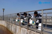 怎么回事：出水COD比進水COD還高