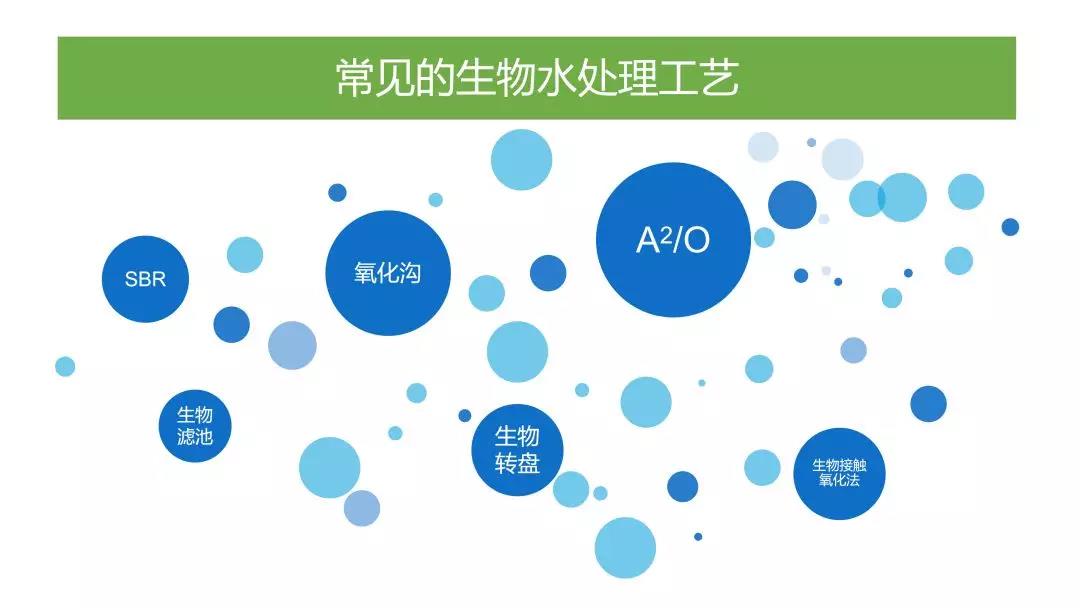 常見的生物水處理工藝