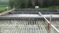 屠宰廢水氨氮COD超標處理