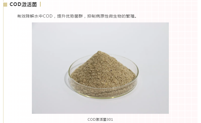 長(zhǎng)隆科技庫(kù)巴魯COD激活菌