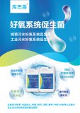 如何促進(jìn)城鎮(zhèn)污水好氧系統(tǒng)快速高效脫氮