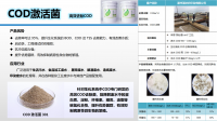 冬季，生化出水COD容易超標怎么辦   