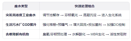 COD廢水超標快速治理工藝推薦